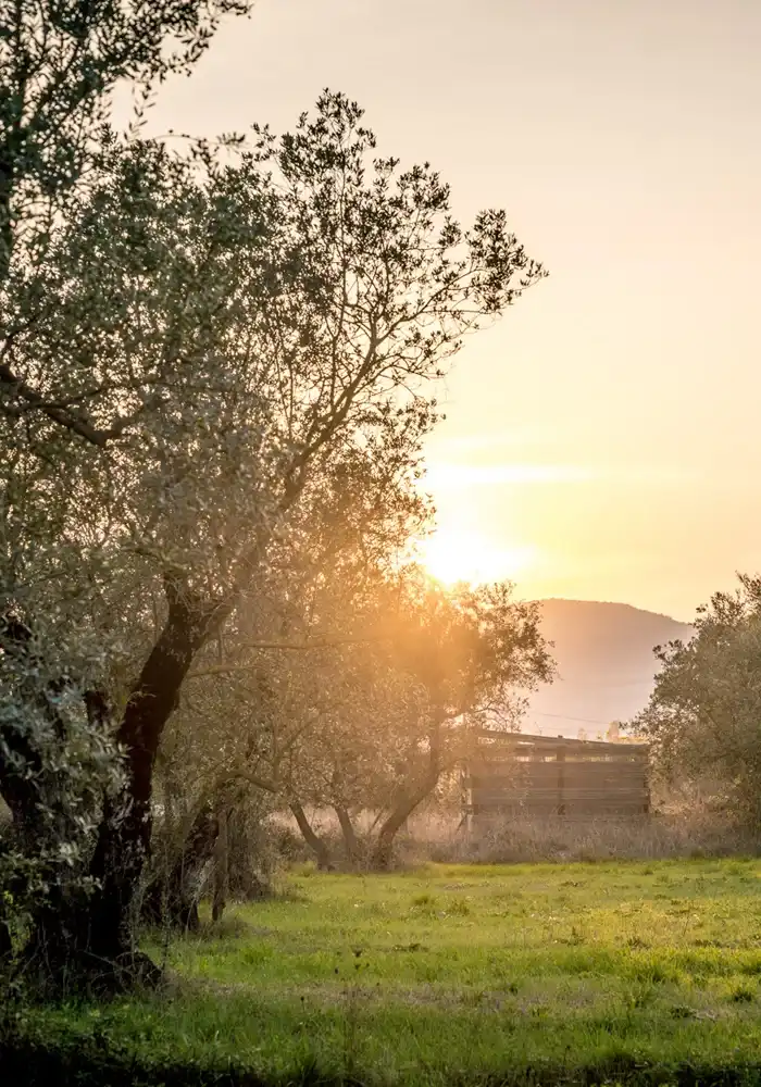 By TerraNostra domein